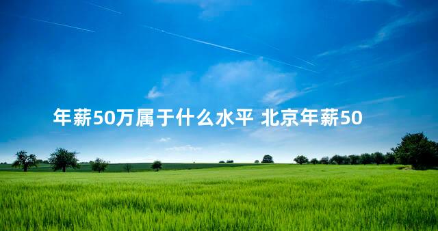 年薪50万属于什么水平 北京年薪50万属于什么水平